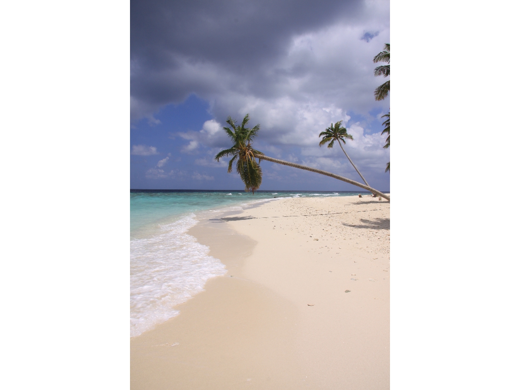 2010-10-17 09-03-40 - Maldives 2010 IMG_5826 2010-10-17 09-03-40 - Maldives 2010 IMG_5826